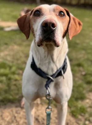 Elias - NOTFALL Österreich Bild 8