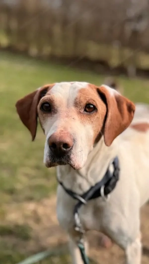 Elias - NOTFALL Österreich Bild 3