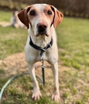 Elias - NOTFALL Österreich Bild 4