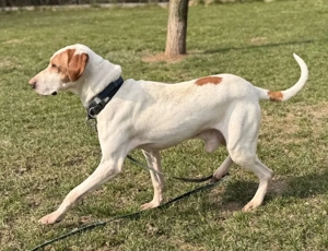 Elias - NOTFALL Österreich Bild 6