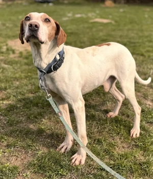 Elias - NOTFALL Österreich Bild 5