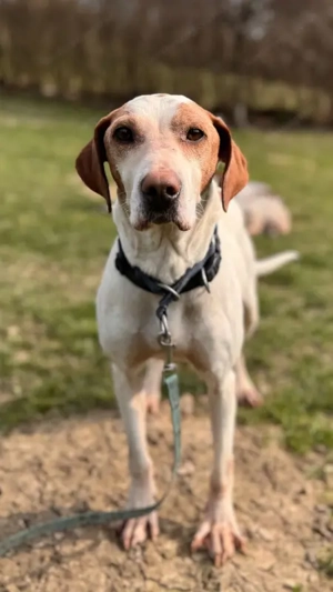 Elias - NOTFALL Österreich Bild 2