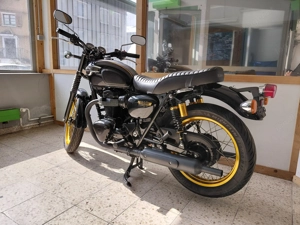 Kawasaki W 800 Special Edition 2012 - Kultbike Bild 4