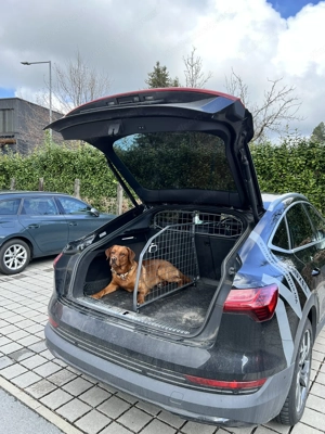 Kofferraum Audi sportback e-tron & Q8 e-tron Hundegitter & Trenngitter Bild 4