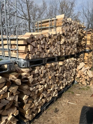 Brennholz hart und weich Bild 2