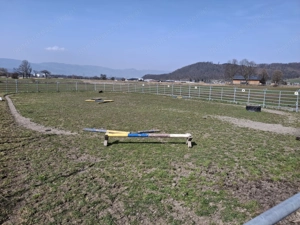 Offenstallplatz zu vergeben  Bild 7