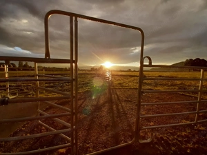 Offenstallplatz zu vergeben  Bild 9