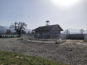Offenstallplatz zu vergeben  Bild 3