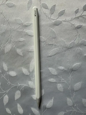 Apple iPad Pro 11" (2  GB   WiFi + Cellular)   wie neu Bild 9