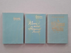 Alte Bücher von | über Bregenz und Vorarlberg Bild 8