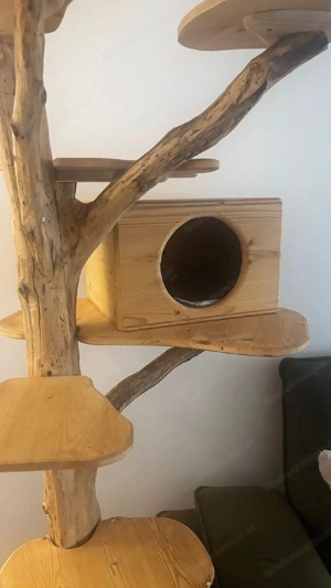 Katzenbaum aus echtem Holz