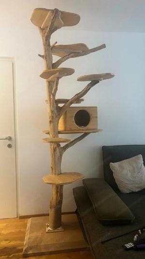 Katzenbaum aus echtem Holz Bild 2