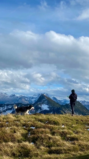 Zuverlässige & liebevolle Hundebetreuung Bild 4