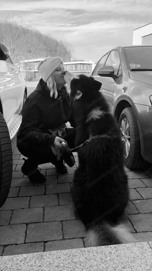 Zuverlässige & liebevolle Hundebetreuung Bild 5