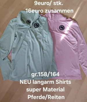 Reitsachen Pferde Bild 2