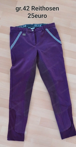 Reitsachen Pferde Bild 7