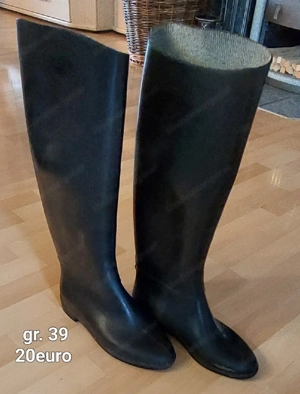 Reitsachen Pferde Bild 6