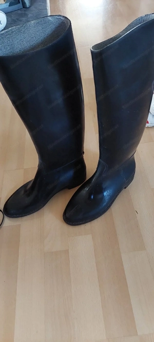 Reitsachen Pferde Bild 8