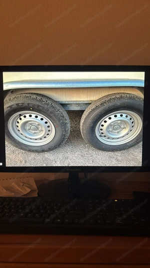 Pferdanhänger Hapert Sapphire Koffer H-2 Bild 2