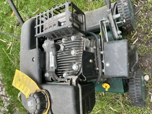 Garten Vertikulierer Bild 2