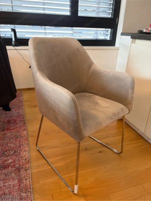 Samt-Armlehnstuhl Isla 2 Stück 300  VB   NEU:259  STK Bild 3