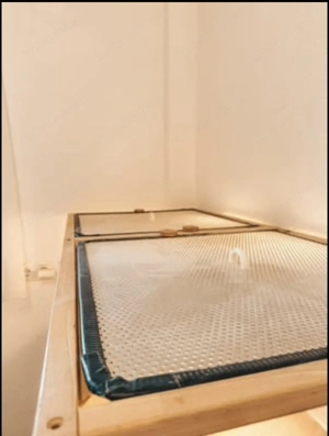 Großes Nagarium   Nagerterrarium für Hamster oder Wüstenrennmäuse Bild 2