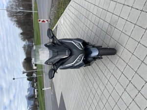 Honda Forza 350 Silber  Bild 3