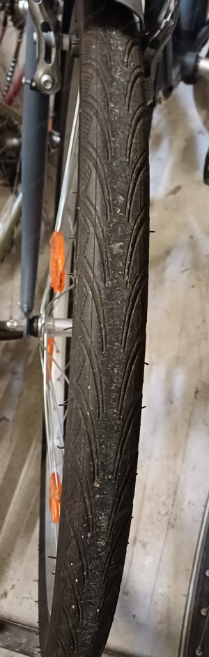 Fahrradrarität Elops Bild 2