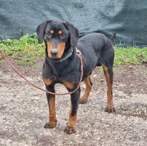 Seno wartet auf SEINE aktiven Menschen Bild 4