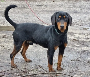 Seno wartet auf SEINE aktiven Menschen Bild 5