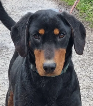 Seno wartet auf SEINE aktiven Menschen Bild 6