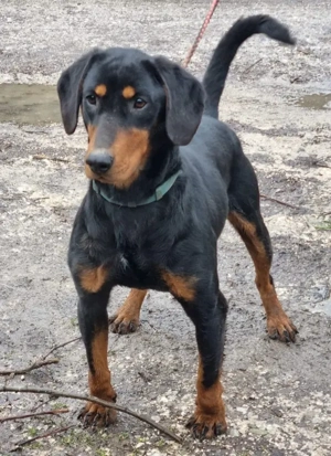 Seno wartet auf SEINE aktiven Menschen Bild 2