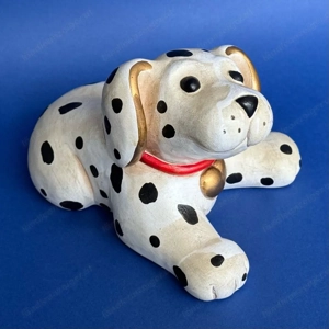 Thun Dalmatiner Bild 2