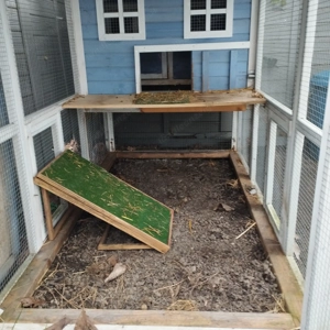 Hasenhaus  Gehege Bild 4