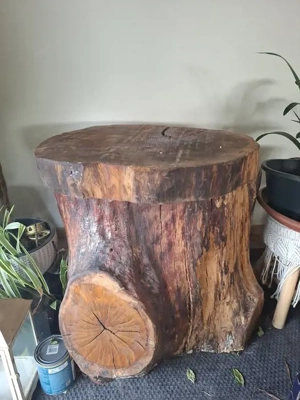 Dekorativer Eyecatcher,zu verschenken!!!Holztstamm,lasiert Bild 3