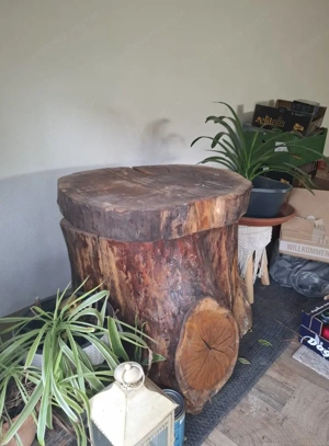 Dekorativer Eyecatcher,zu verschenken!!!Holztstamm,lasiert Bild 2