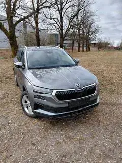 Skoda Karoq Bild 6