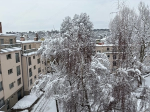 Wien 17, Dornbach, Bj.1967 Bild 4