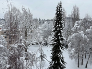Wien 17, Dornbach, Bj.1967 Bild 5