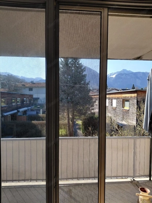 Fliegengitter Schiebetür