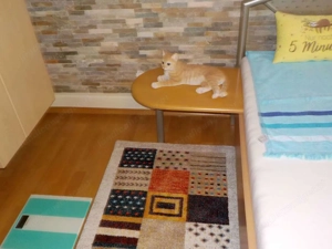 Doppelbett Schlafzimmer Bild 2