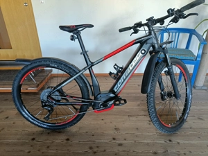 E-Mountainbike Hardtail 