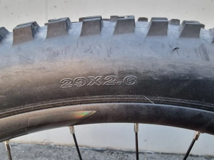 E-MTB Leaderfox Bild 2