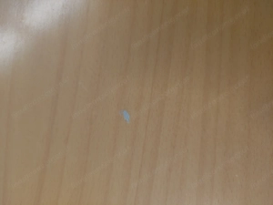 Konferenztisch Tisch 4 Sessel Bild 5