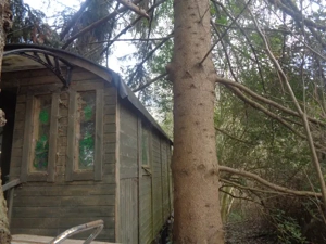 Zirkuswagen, Pippowagen