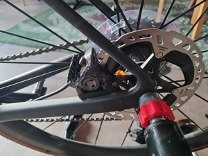 Canyon Endurace CF SLX Di2 Bild 2