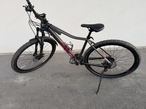 Cube Mountainbike Access Rahmengrösse L, 29 Zoll neuwertig 