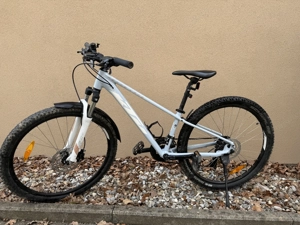 KTM Kinderfahrrad blau Bild 2