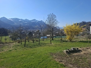 Mehrere Gartenparzellen inkl. Gartenhaus zu verpachten   Bild 7