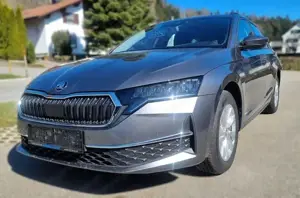 Skoda Octavia  1000  Reduziert *Automatik * 4 Jahr Garantie - Bild 10
